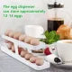 Random Color 2-Tier Rolling Egg Dispenser for 12-14 Eggs, Space-Saving and Durable Egg Storage Solution with Gravity-Fed Design, Ideal for Fridge and Pantry, Egg Storage Stray, Fridge Egg Holder, Household Kitchen items - Egg Tray